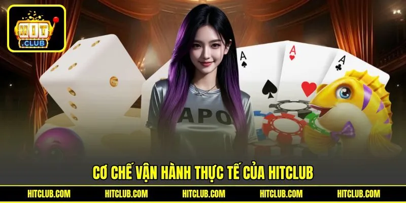 Cơ chế vận hành thực tế của HITCLUB